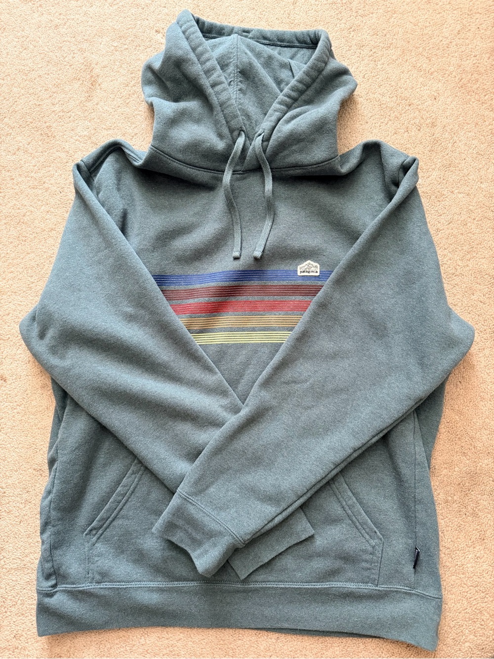 NWOT Patagonia Hoodie- Unisex